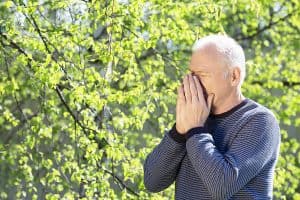 Elderly man sneezing and experiencing seasonal allergies while surrounded by blooming trees in a park
